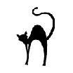 th_Animation-Arched-Cat